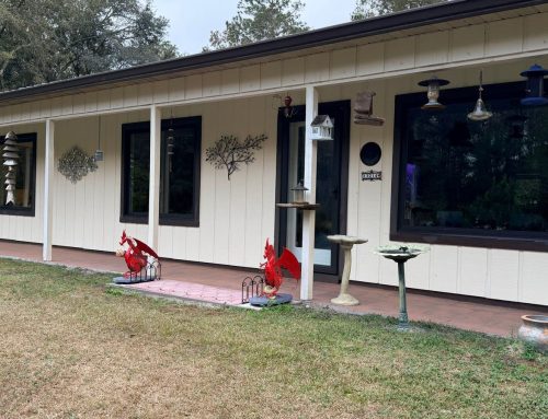 Black-Frame Windows & French Doors in Gainesville