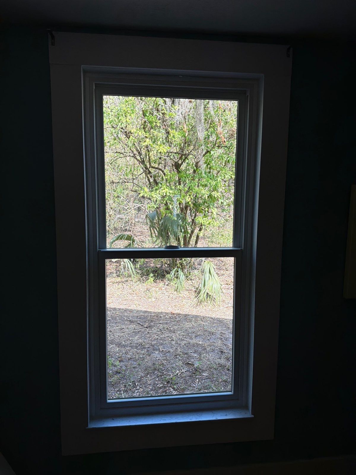micanopy-fl-15 Andersen window replacement on a historic Micanopy, FL home