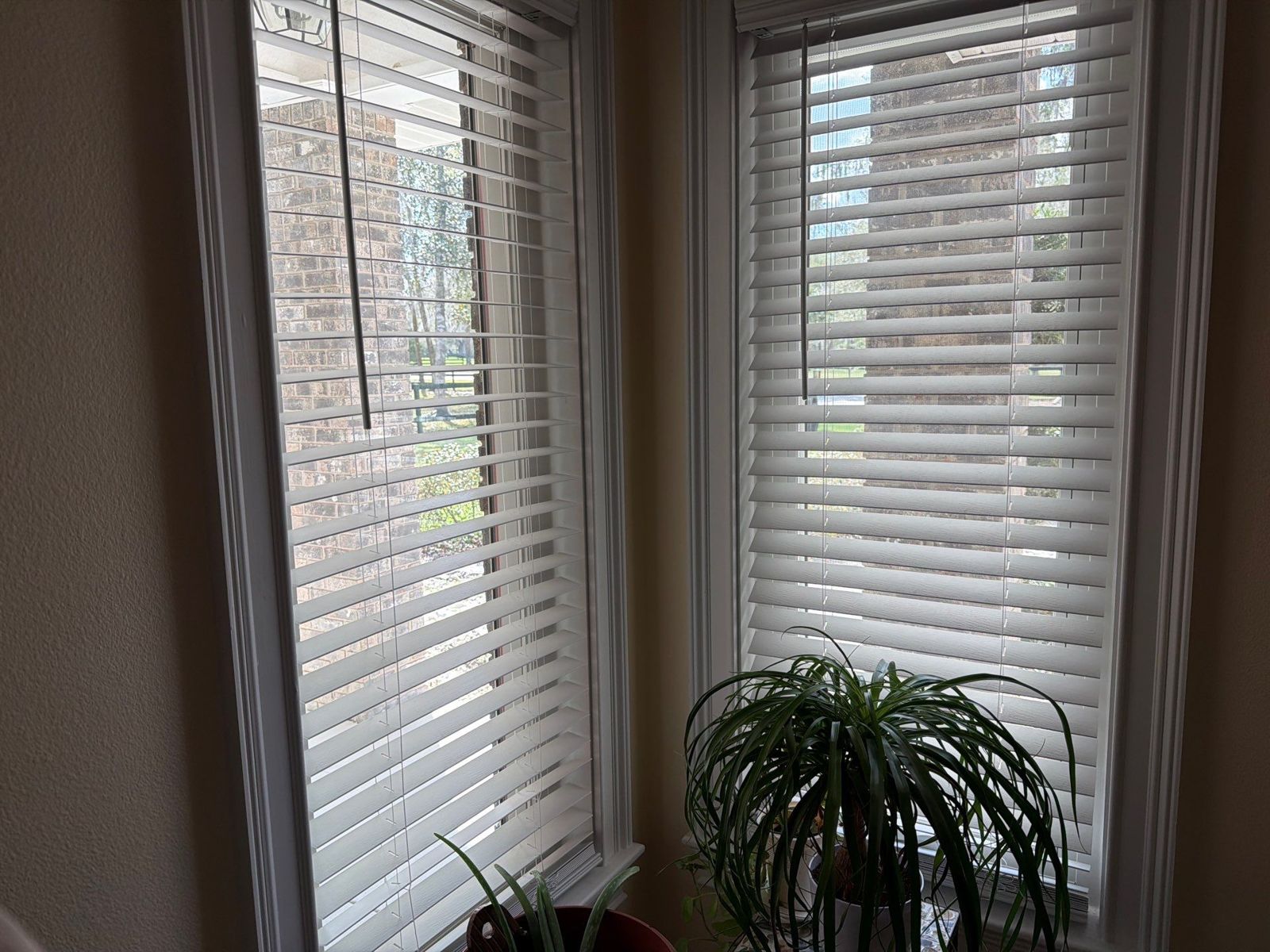 ocala-fl-07 Arch-top and bay window replacement in Ocala, FL