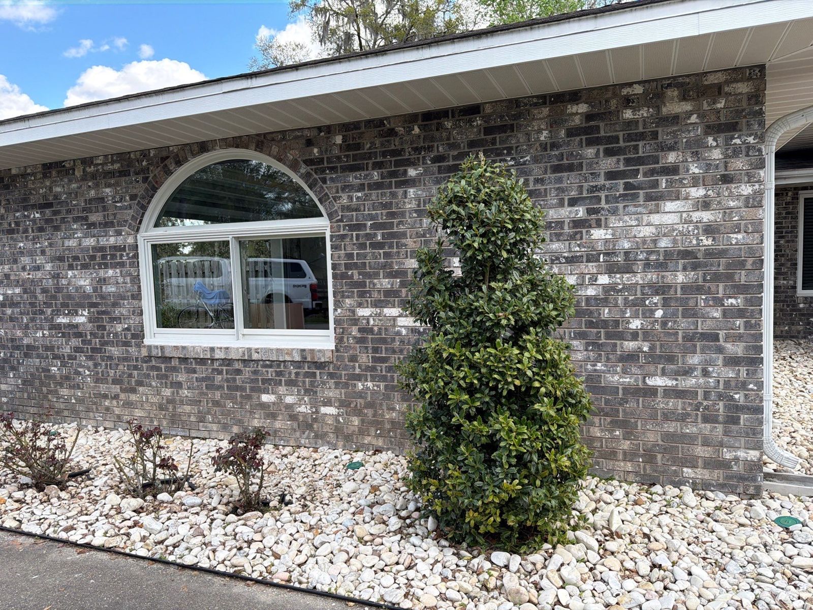 ocala-fl-12 Arch-top and bay window replacement in Ocala, FL