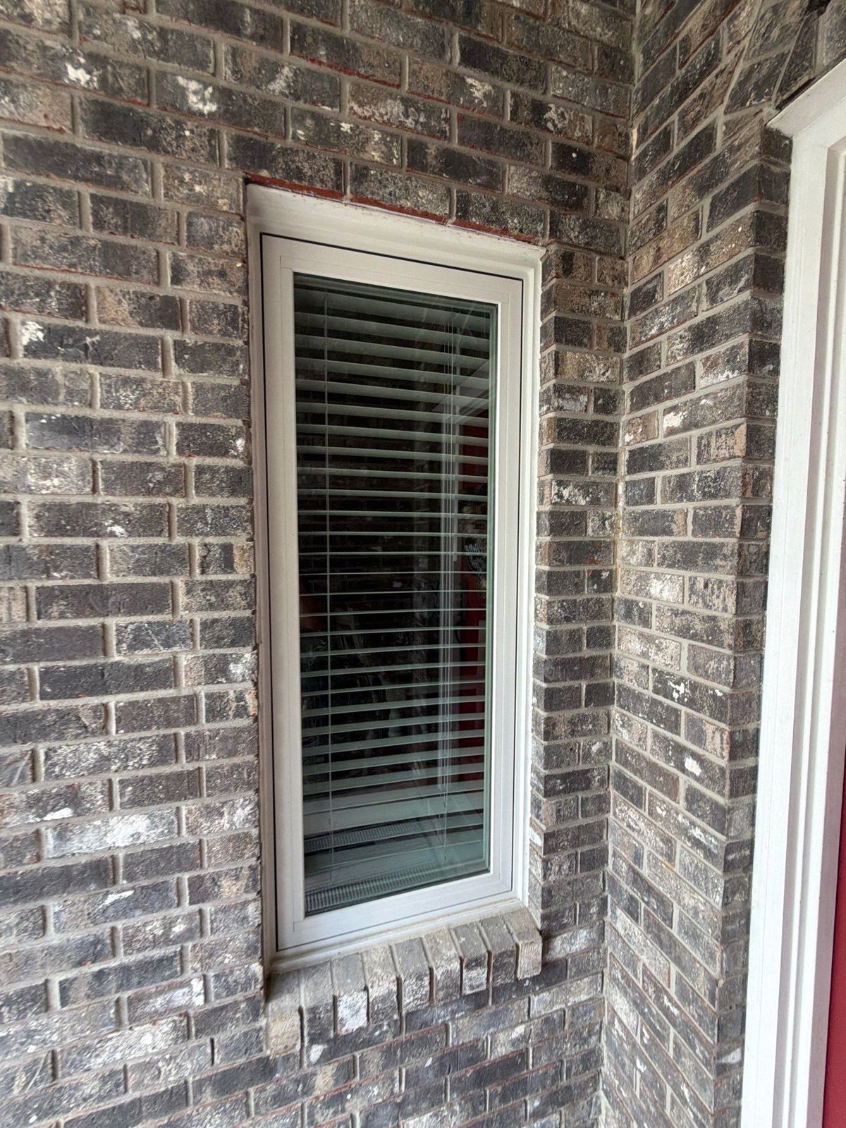 ocala-fl-24 Arch-top and bay window replacement in Ocala, FL